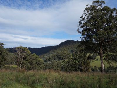 Lot 1 Kalonga Road, Nicholls Rivulet