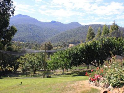 95 Misty Hill Road, Mountain River