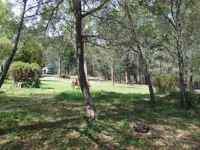 222 Fulligans Road, Pericoe