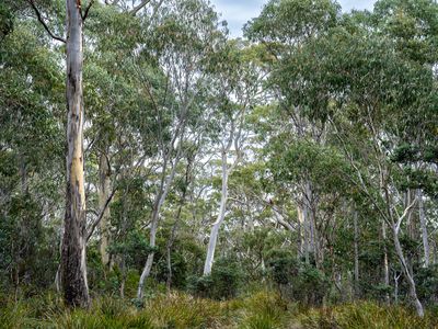'Hardings Bay Retreat', Lake Leake Road, Lake Leake