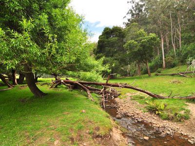 Gardners Bay