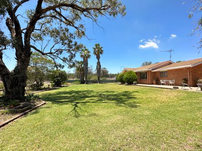 154L Narromine Road, Dubbo