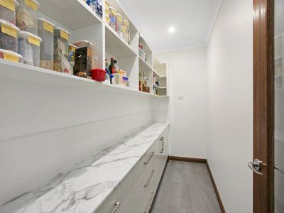 462 Calanthe Avenue, Doonan