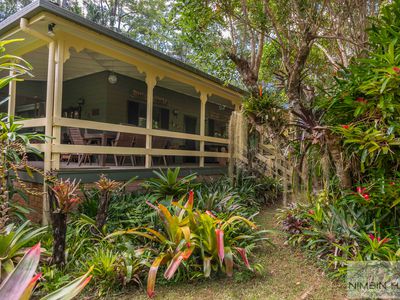 447 Terania Creek Road, Terania Creek