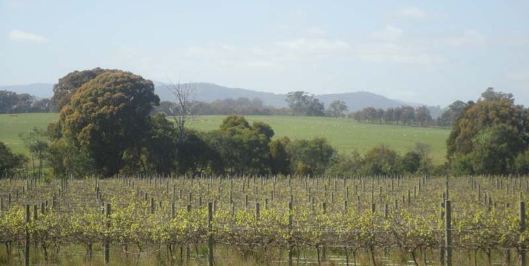 Harrys Creek Road, Strathbogie