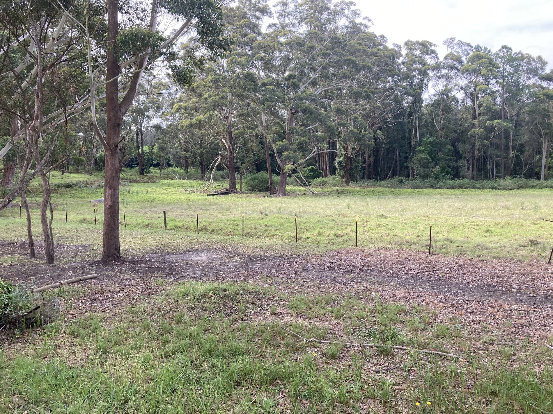 236 David Collins Place, Kincumber