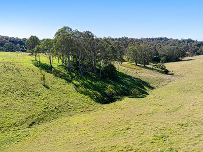 79 Wagonga Scenic Drive, Narooma