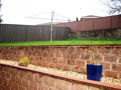 Mount Warrigal