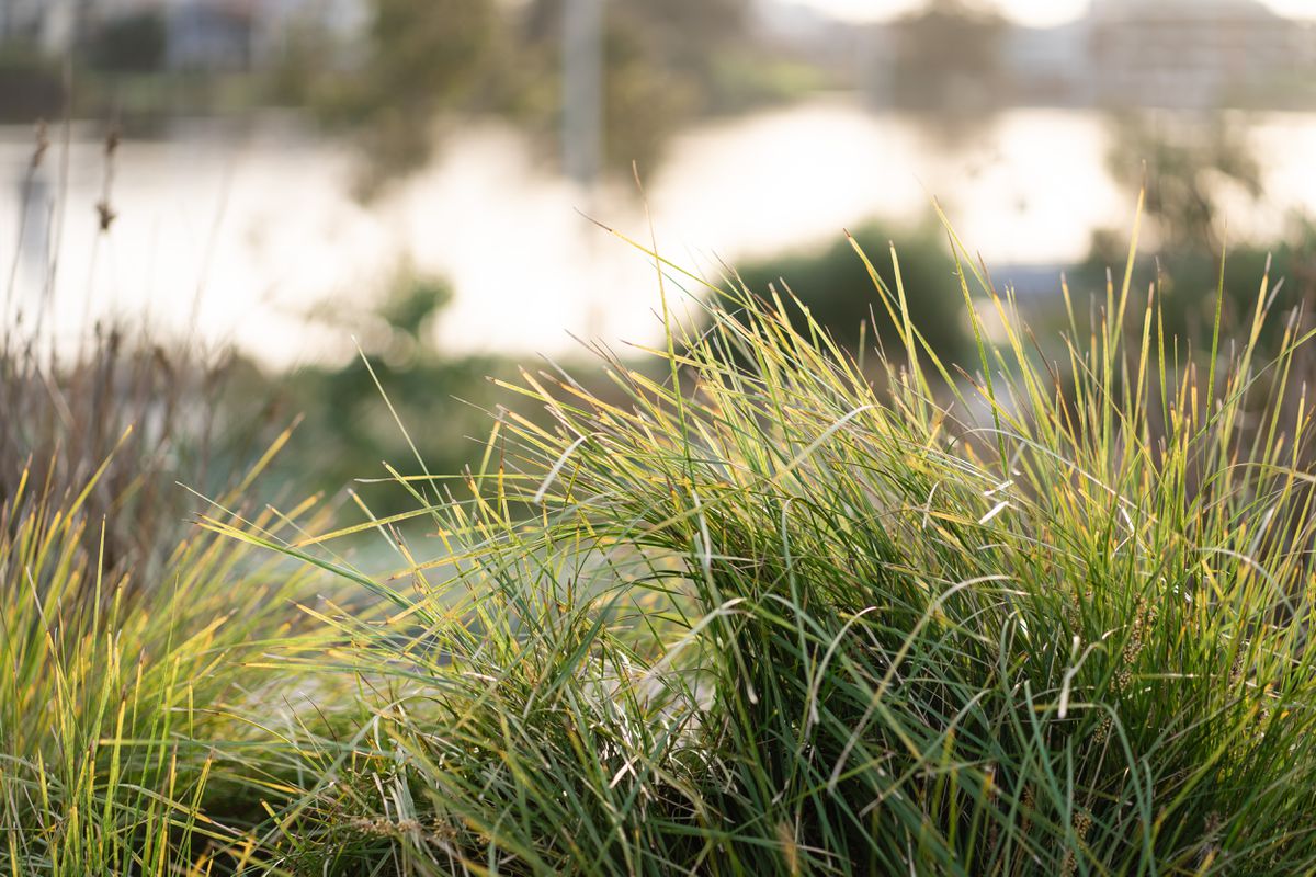 44 / 48 Riversdale Road, Rivervale