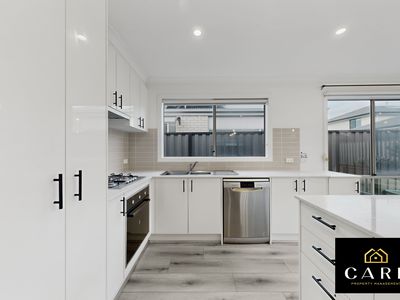 19 Hillsborough Crescent, Berwick