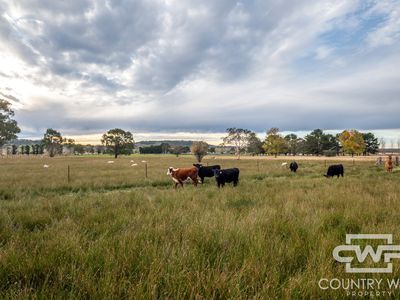 340 Furracabad Road, Glen Innes