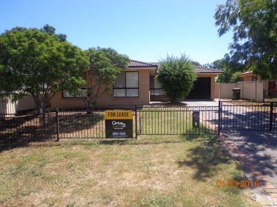 43 Gilbert Street, Dubbo
