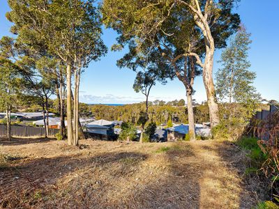 17 Bowerbird Place, Malua Bay