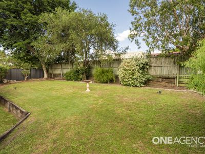 42 Wallaroo Way, Doolandella