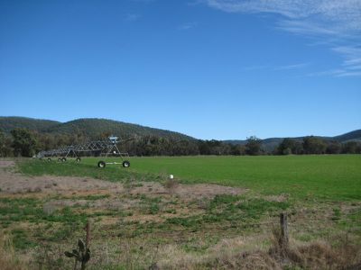Mingoola Station, Tenterfield