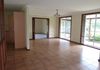 45 Murphy Lane, Orange
