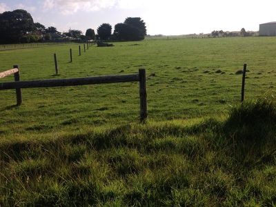 Lot 4, Banksia Road, Millicent