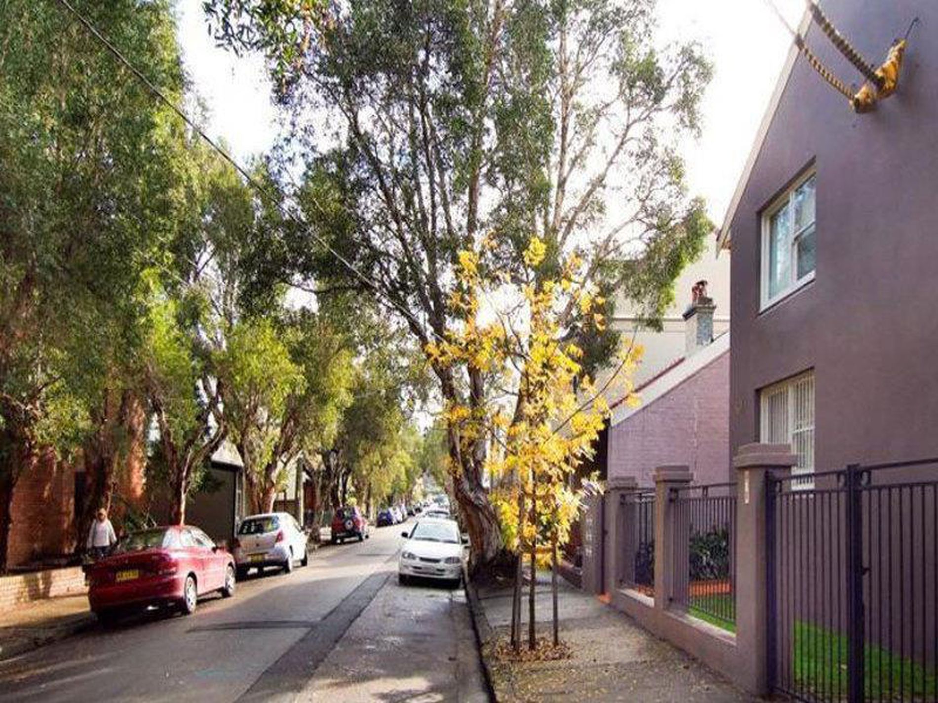 6 / 64 Alexander Street, Alexandria