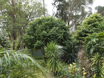 53 Wyoming Avenue, Burrill Lake