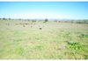 346 Avoca Road, Stuart Town