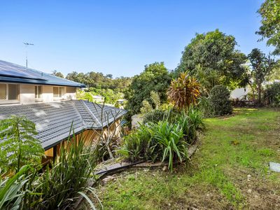 8 Nolina Court, Indooroopilly