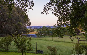 175 Beenak Road, Gembrook