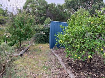 6 Janvrin Road, St Leonards