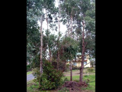 11 Caldwell Avenue, Verona Sands