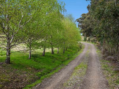 100 Misty Hill Road, Mountain River