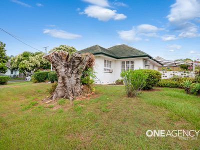 15 Adonis St, Inala