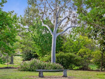 77 Taaffe Road, Wangaratta South