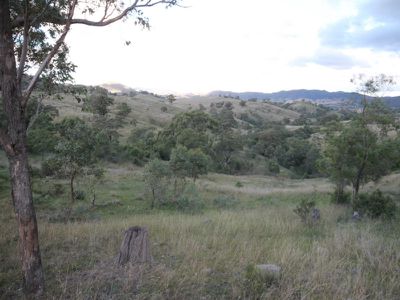 Rouchel Gap Road, Mccullys Gap
