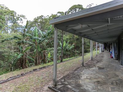 23 Rose Marie Drive, Diddillibah