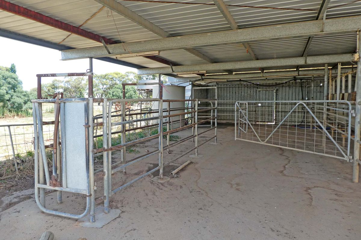 785 Kyabram-Cooma Road, Kyabram