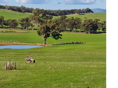 78 Cherry Tree Road, Nagambie