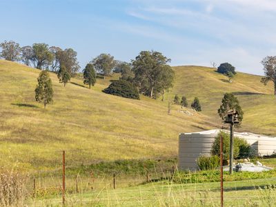 474 Neringla Road, Neringla, Araluen