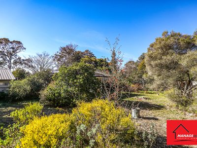 9 MCKEAHNIE STREET, Weetangera