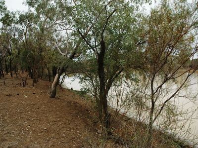 Braidwood Jundah, Longreach