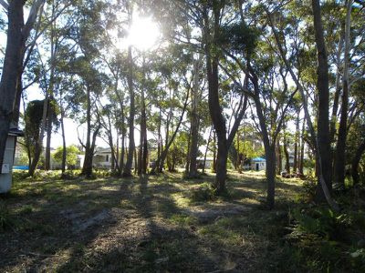 Lot 82, 156 Jacobs Drive, Sussex Inlet