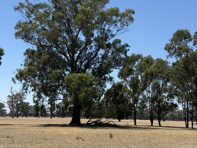 Cnr Clohessy Road and Escort Bridge Road, Norong