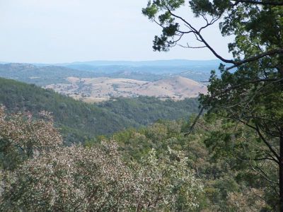 Lot 182 Reedy Creek Road, Tenterfield