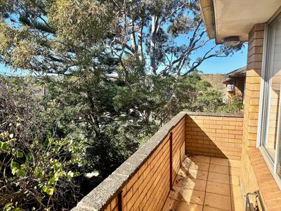 3 / 31 Bexley Road, Campsie