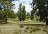 129 Mt Top Road, Orange