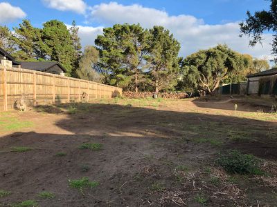 132 Cape Schanck Road, Cape Schanck