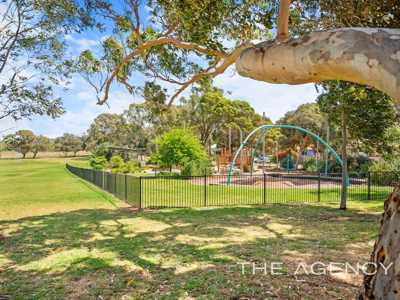 26 Tolley Court, Hamilton Hill