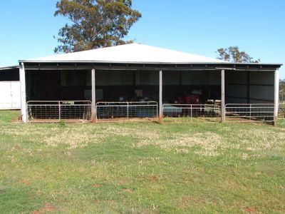 4646 Strathbogie Road, Emmaville