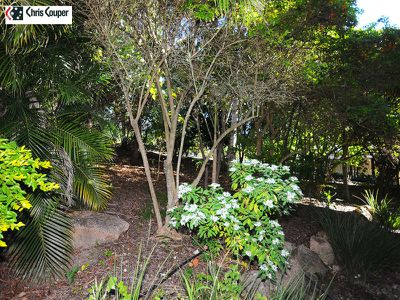11 Broadway Drive  , Dundowran