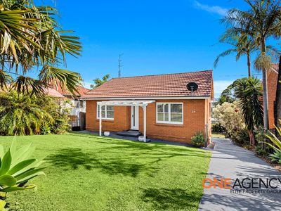 24 MAILER AVENUE, Wollongong