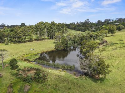 107 Lilyvale Place, Narooma