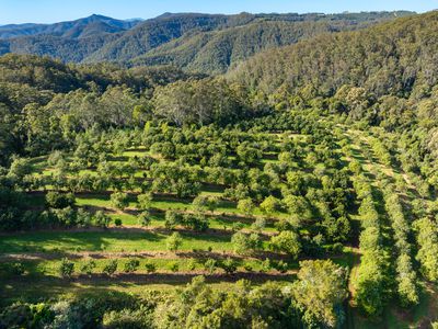 480 Ponsfords Road, Comboyne